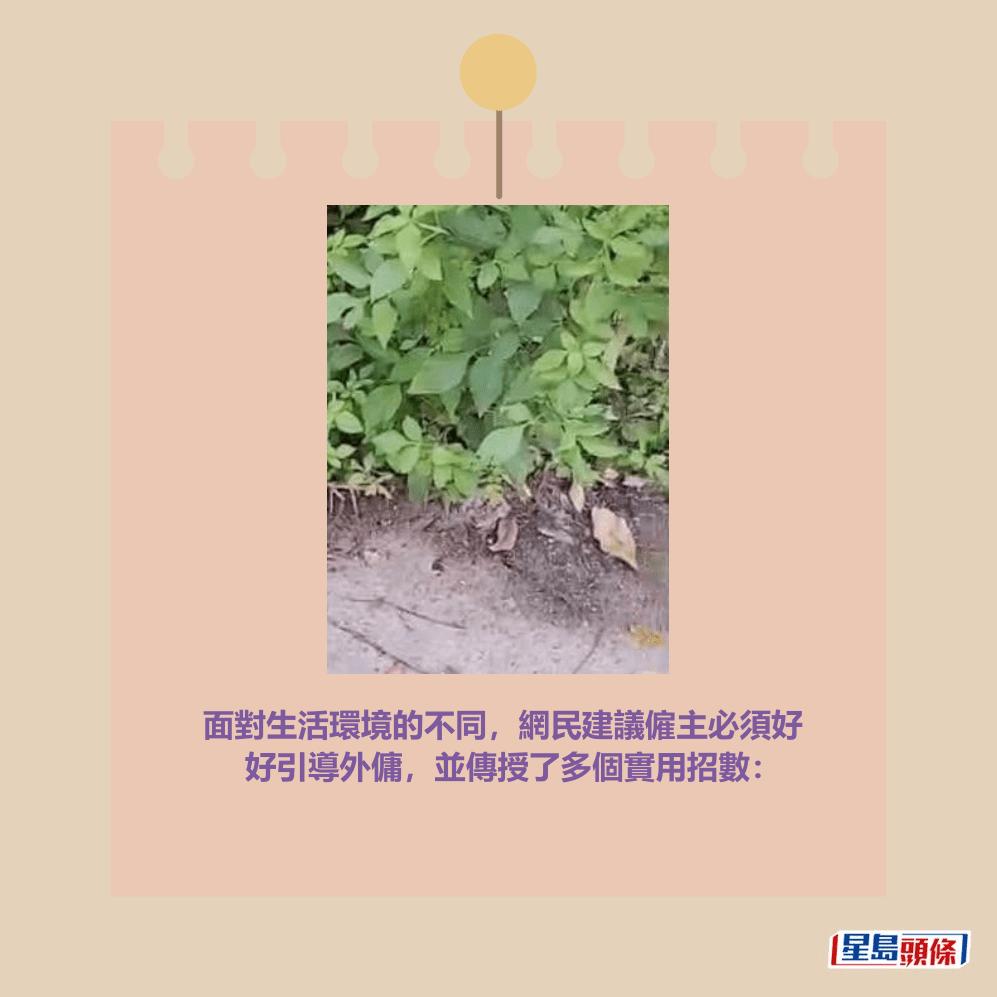 facebook截圖（資料來源：AuthenticCamel3991＠facebook聘請工人姐姐關注組）