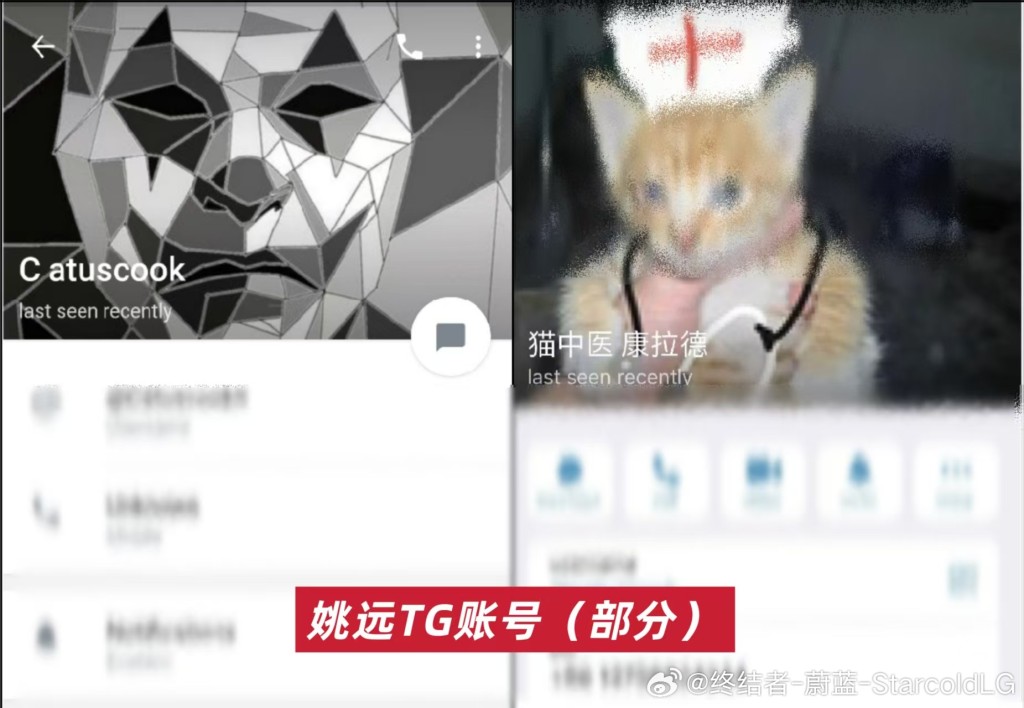 上海律師姚某被指在Telegram有多個賬號，出售虐殺貓隻影片。微博