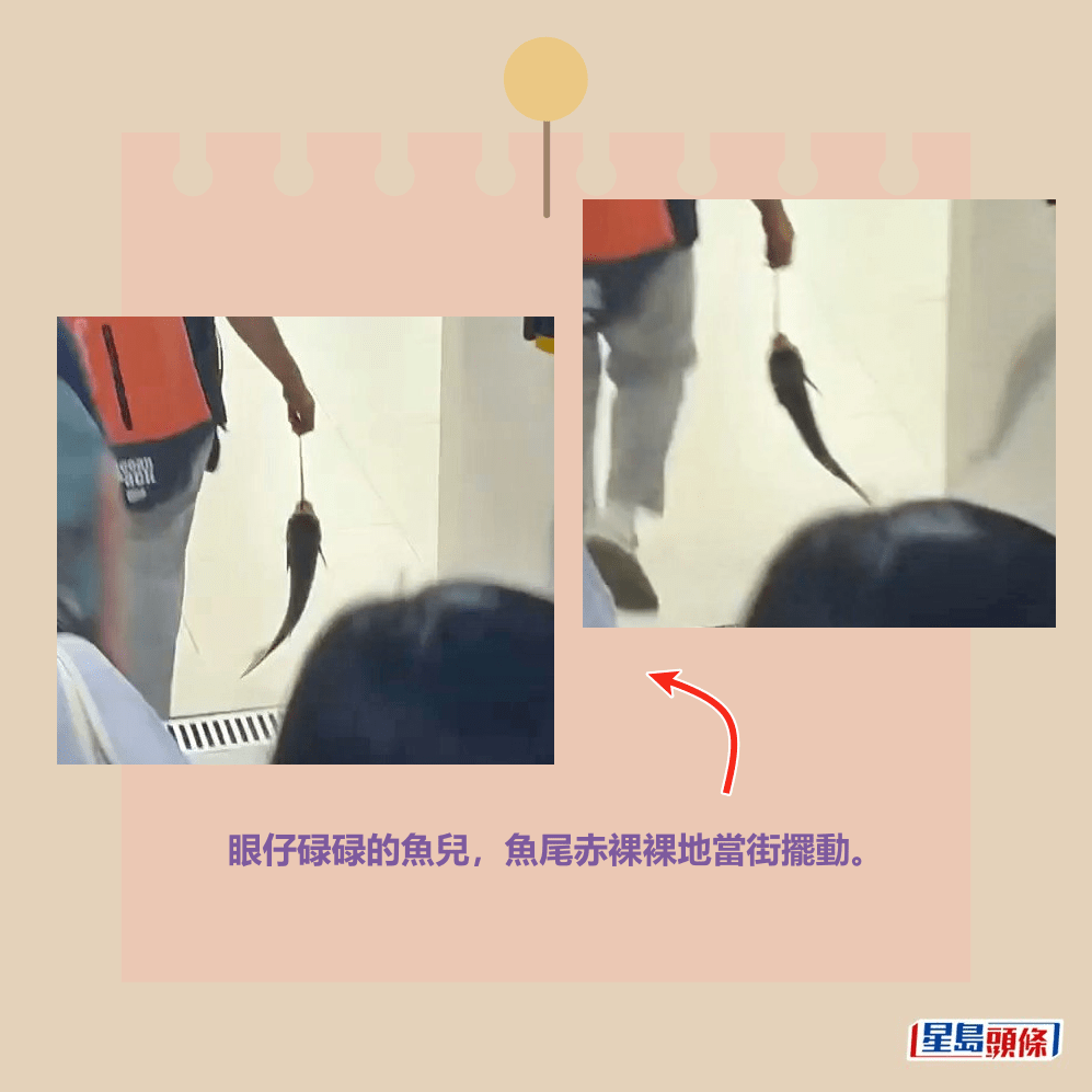 眼仔碌碌的魚兒,魚尾赤裸裸地當街擺動。Threads截圖 眼仔碌碌的魚兒,魚尾赤裸裸地當街擺動。Threads截圖