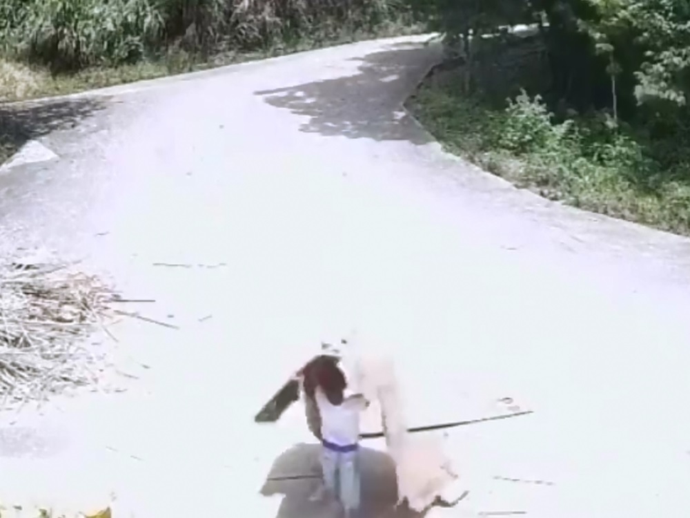 孩子在路上以紙皮嬉戲。影片截圖