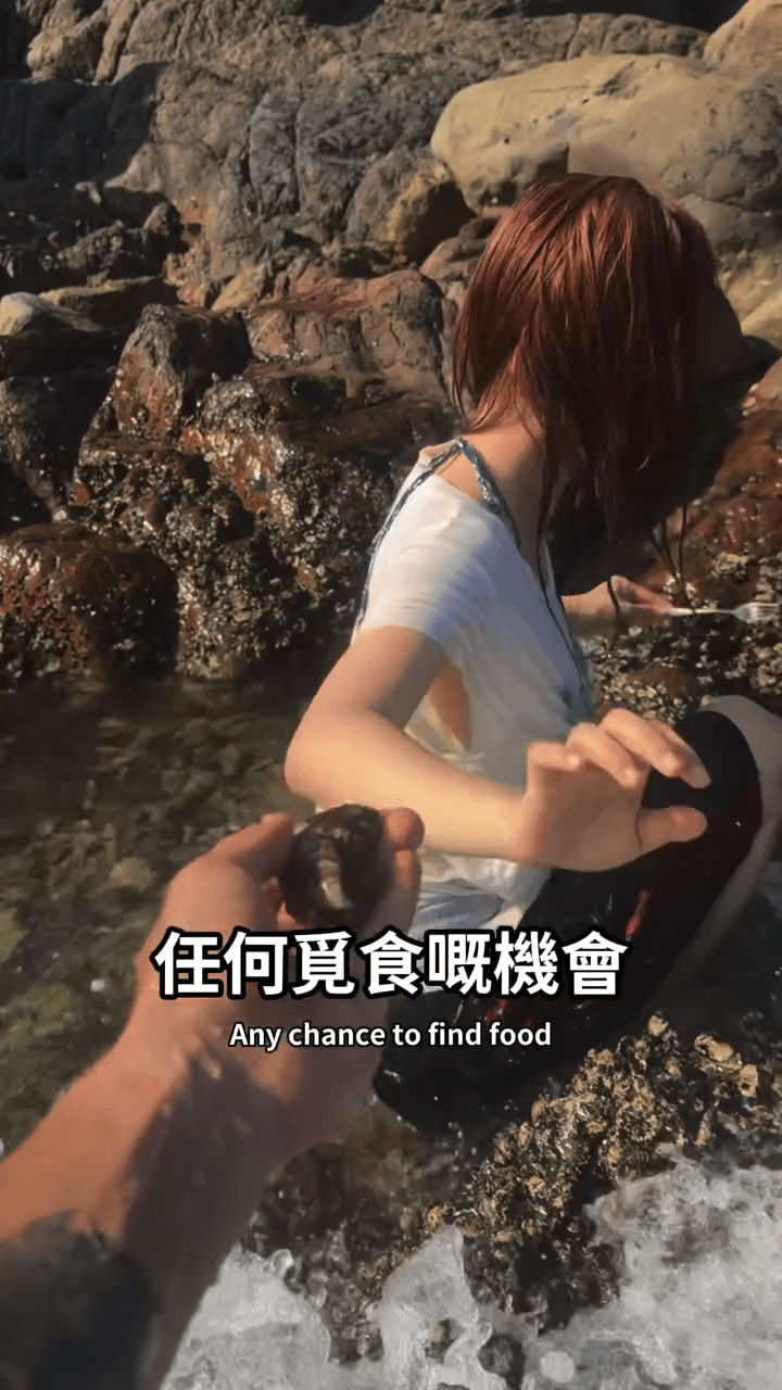 鄧月平在滿佈蠔殼的石灘中，尋找可以即食的生蠔。