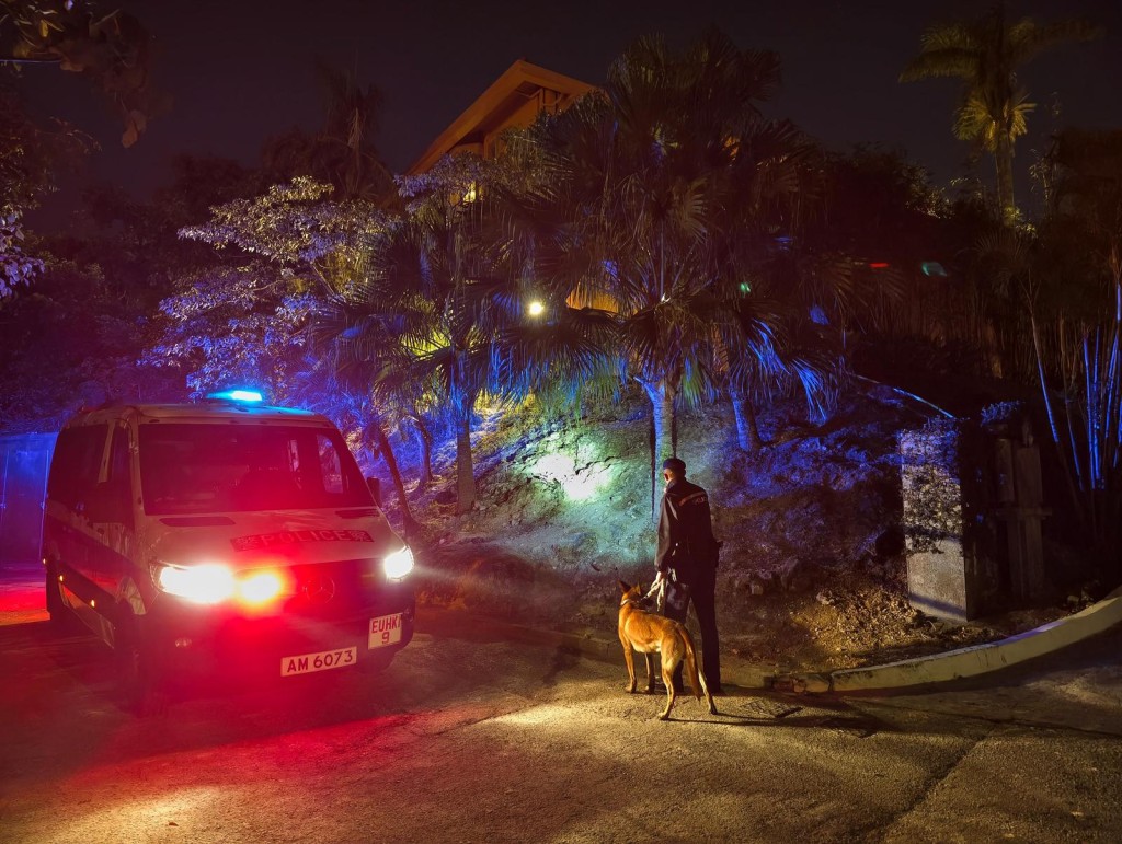 港島總區衝鋒隊的野外巡邏隊聯同西區、中區、灣仔區、東區警區及水警南分區特遣隊及軍裝巡邏小隊，並動員港島總區無人機隊、機動部隊及政府飛行服務隊，於2月6日至2月9日期間，展開為期4日的跨部門聯合反爆竊行動。警方提供