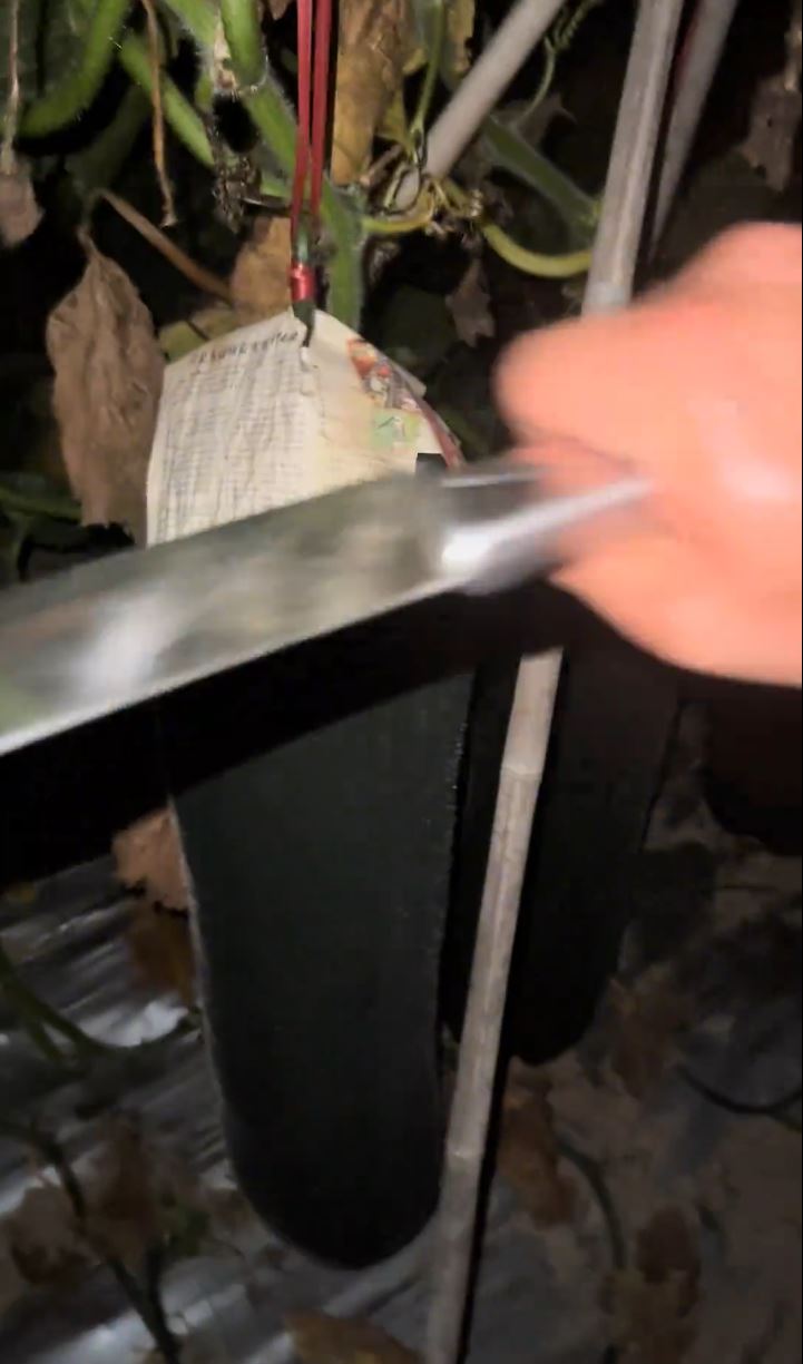 唐先生半夜“扑瓜”片爆红，凭听敲击声可猜到瓜的好坏。抖音@ 小唐菜业合作社