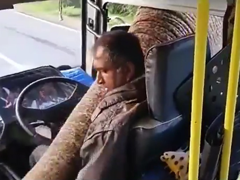 象鼻伸入車箱內搜索食物。影片截圖