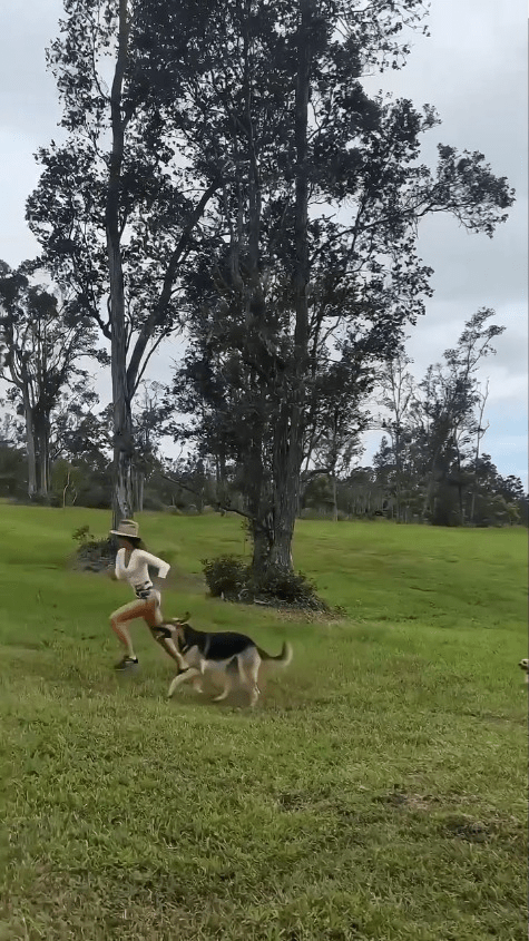 狗仔可在廣闊的草原狂奔放電，Maggie Q都跑到氣喘。