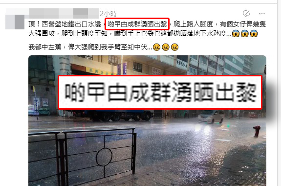 有人冒雨返工,在西營盤港鐵站遇到被暴雨迫出來的曱甴群 有人冒雨返工,在西營盤港鐵站遇到被暴雨迫出來的曱甴群