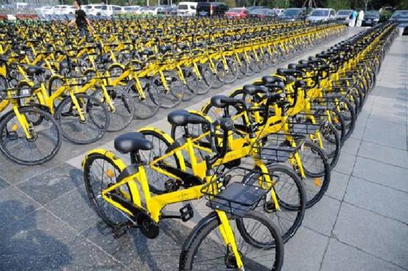 據報ofo單車解散海外事業部。網上圖片
