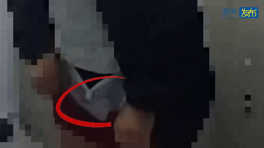 男子以尿片走私,被關員截查。 男子以尿片走私,被關員截查。