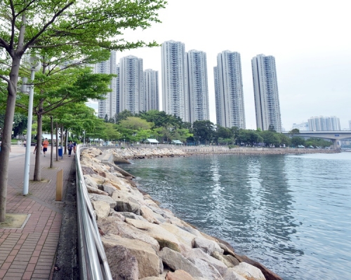 傳媒不時報道有私人樓宇的污水經雨水渠排入大海，令附近海濱一帶長期發出臭味。資料圖片