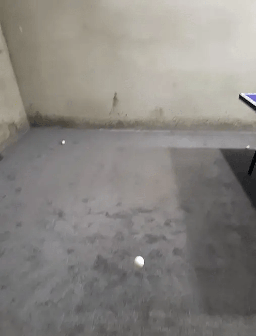 劉先生表示，雖然樓上業主事後鋪設了減震墊，但毫無作用。（圖片來源：極目新聞）