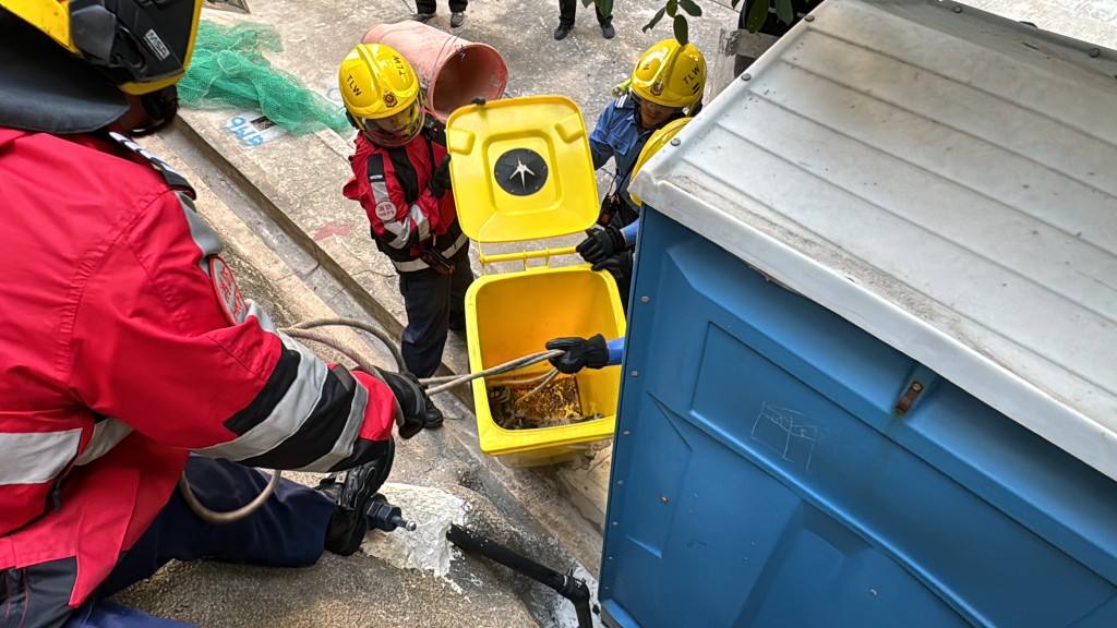 消防救出野猪放在胶桶内待渔护署人员检走。