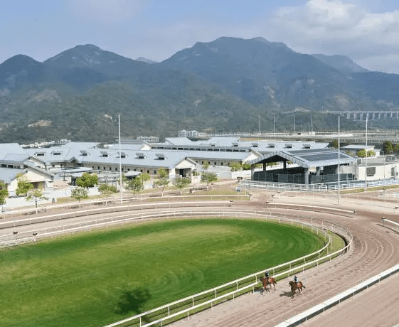 從化馬場。 中新社