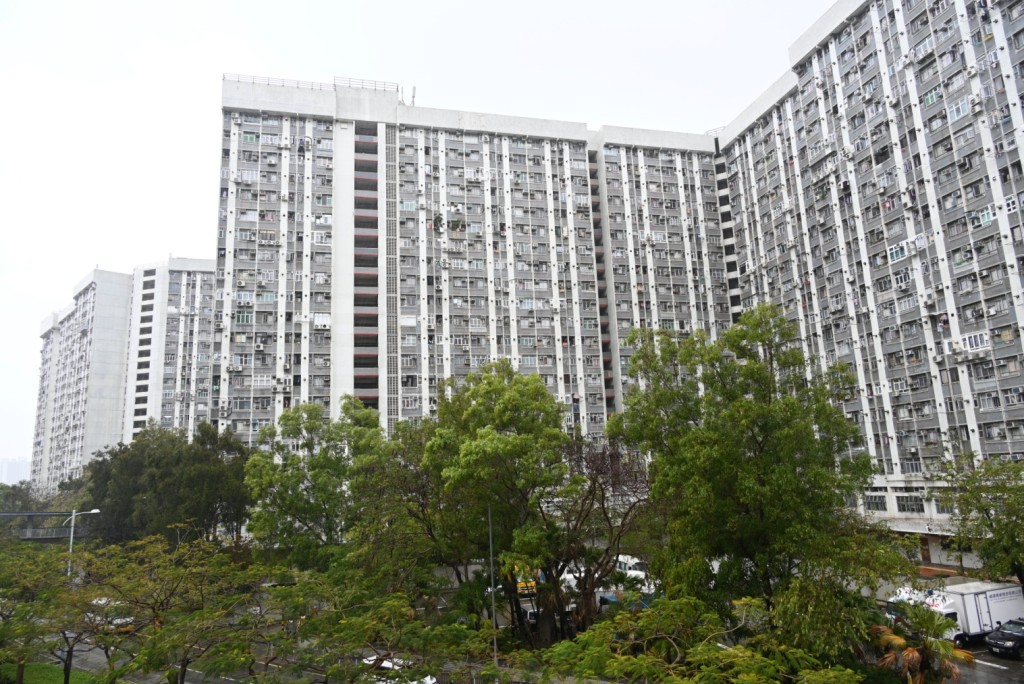 元朗朗屏邨。資料圖片