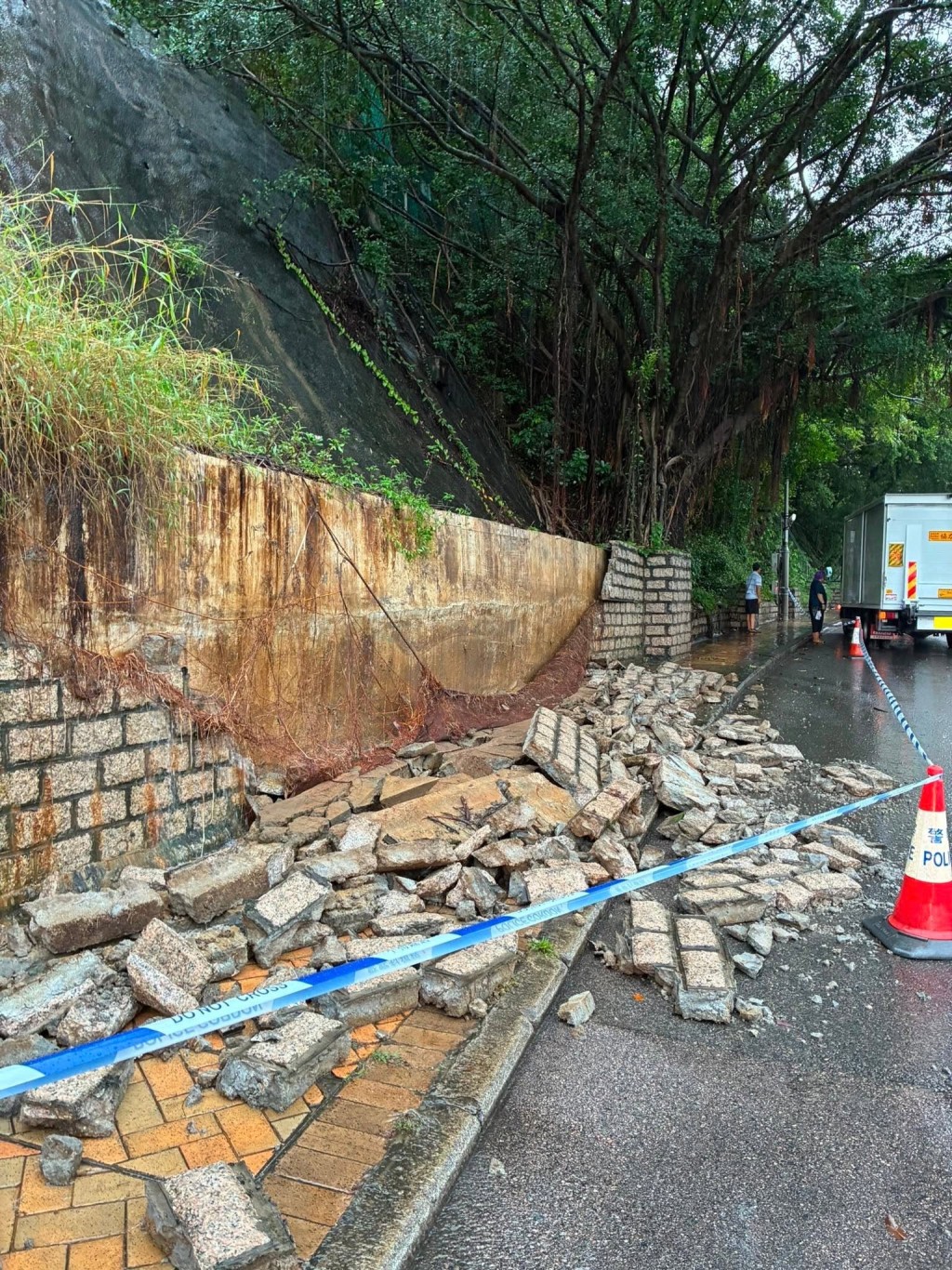 薄扶林道100號有磚石從一幅擋土牆掉落。 薄扶林道100號有磚石從一幅擋土牆掉落。