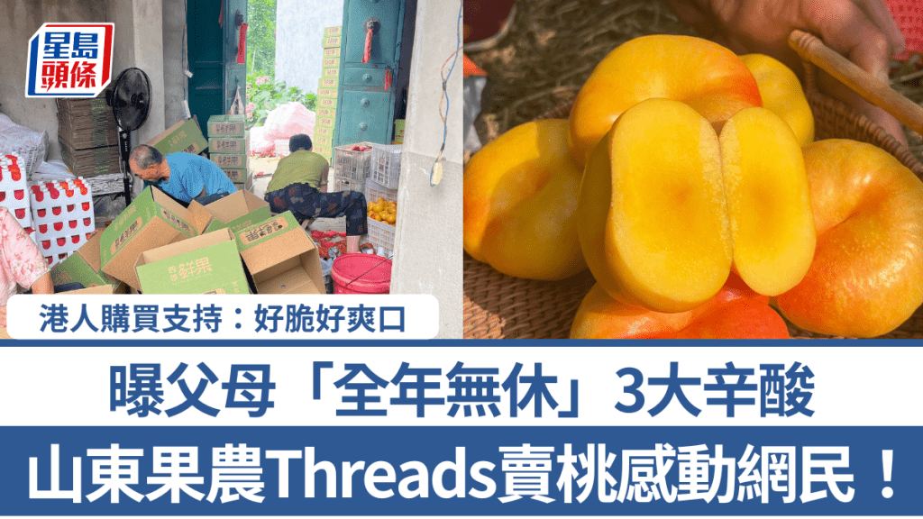 山東果農Threads賣桃感動網民！曝父母「全年無休」3大辛酸 港人購買支持：好脆好爽口