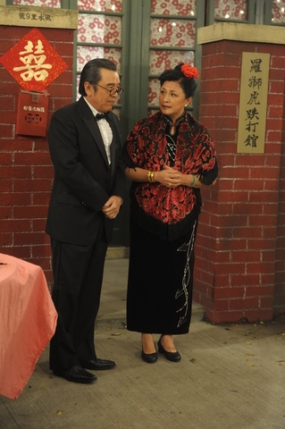 黃淑儀於2009年接拍劇集《巴不得爸爸…》，飾演包租婆「肥婆蘭」譚蘭青一角。