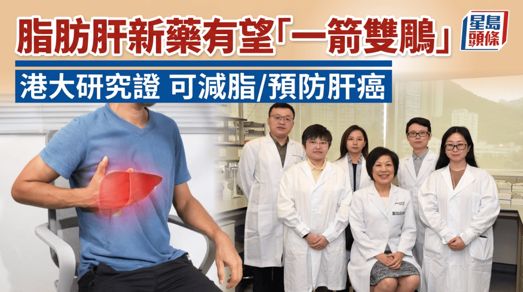 脂肪肝新藥  有望「一箭雙鵰」  港大研究證  可減脂/預防肝癌
