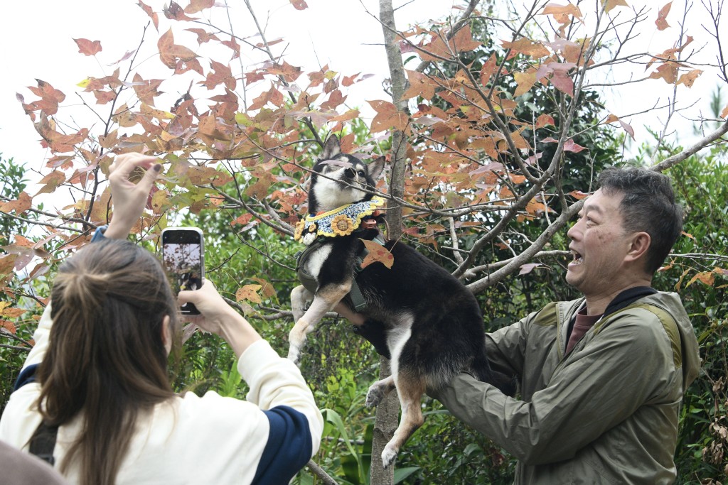 市民陳先生上山主要是幫狗仔打卡。