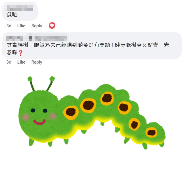 網民：其實棵樹一眼望落去已經睇到啲葉好有問題！fb「真.屯門友」截圖