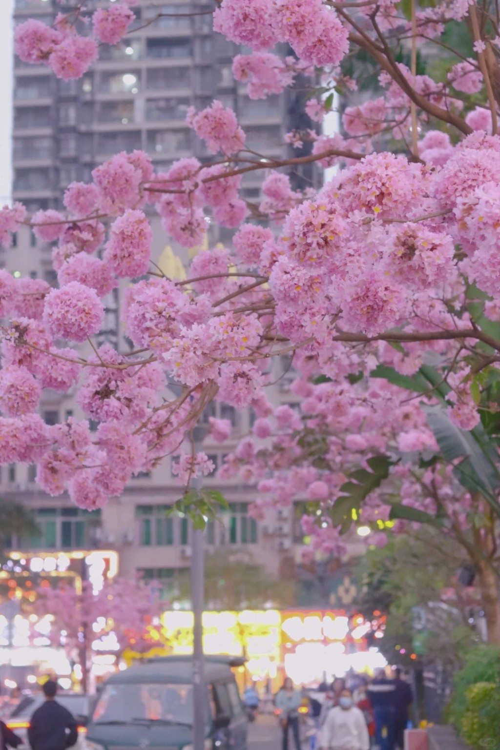 4. 清湖地鐵站C出口（圖片來源︰山海@小紅書）