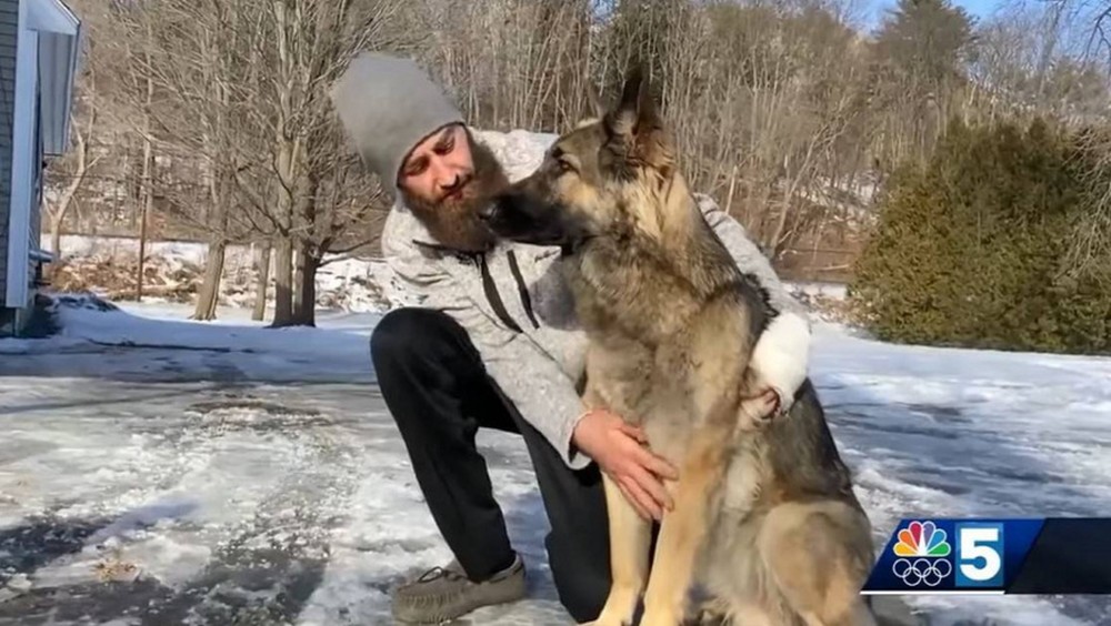 主人遇車禍受傷失溫,牧羊犬狂奔成功引導警察救人。