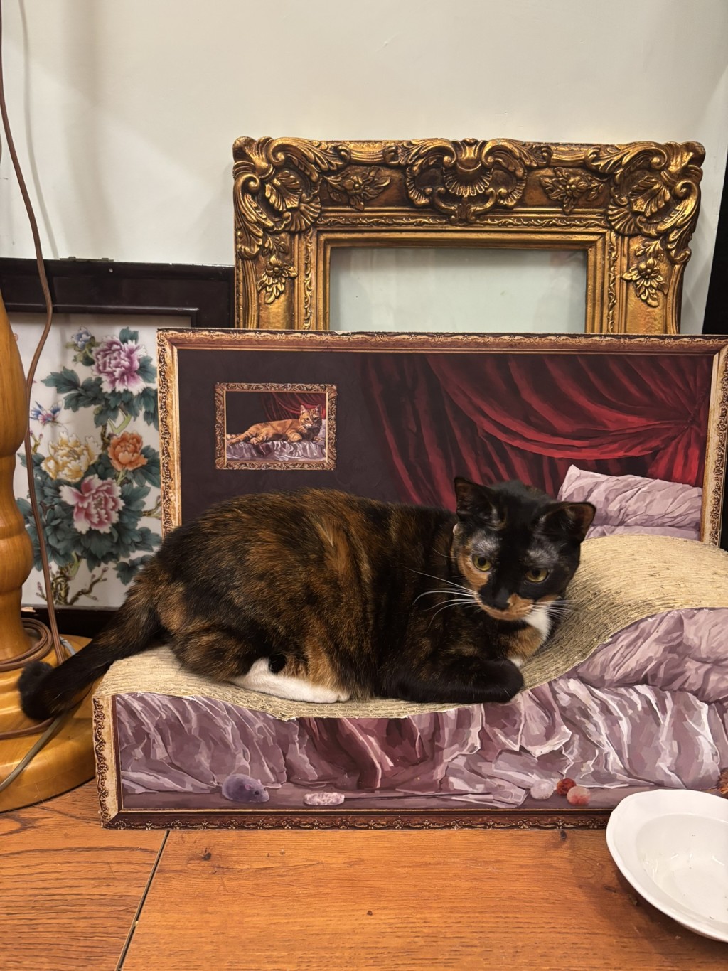 店內的布置全以貓為主，貓店長們悠然自得，也成為其中的一道風景。（圖片來源：《親子王》）