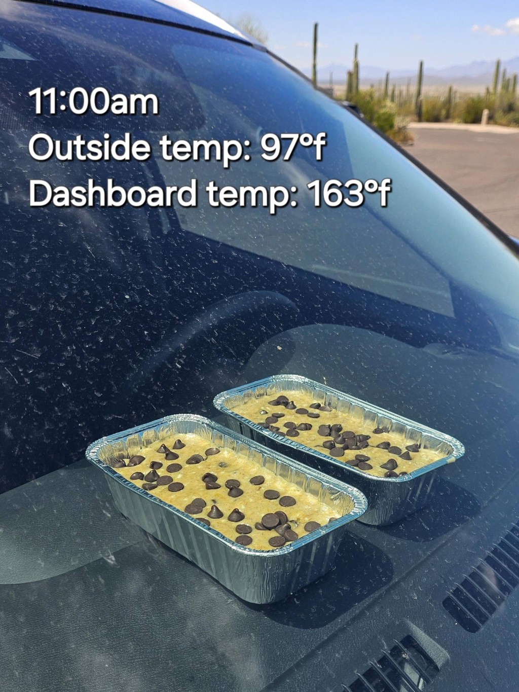 護林員從早上開始紀錄過程，車內溫度為72°C。（FB@Saguaro National Park）