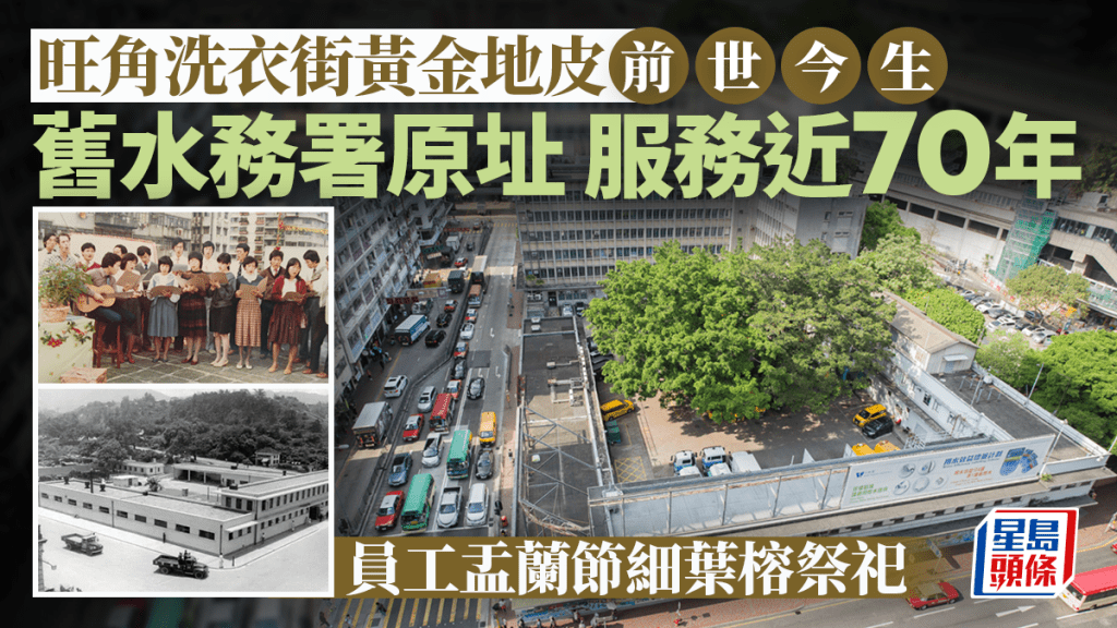 旺角洗衣街黃金地皮前世今生 舊水務署原址 服務近70年 員工盂蘭節細葉榕祭祀