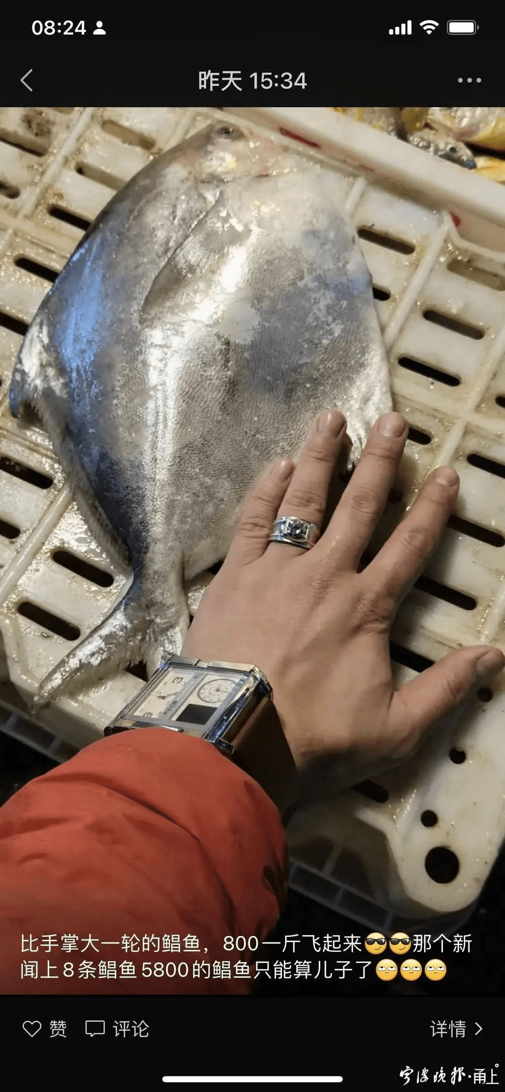 比手掌一般大的银䱽鱼，人民币1600元一公斤，非常夸张。