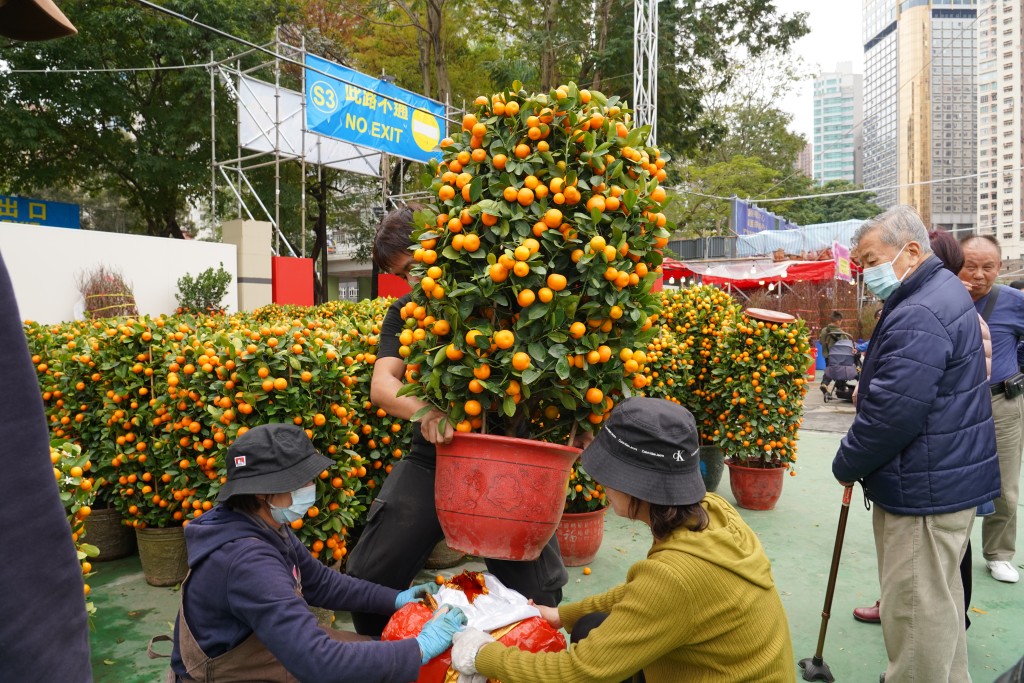 不少市民入場買年花及年桔。葉偉豪攝