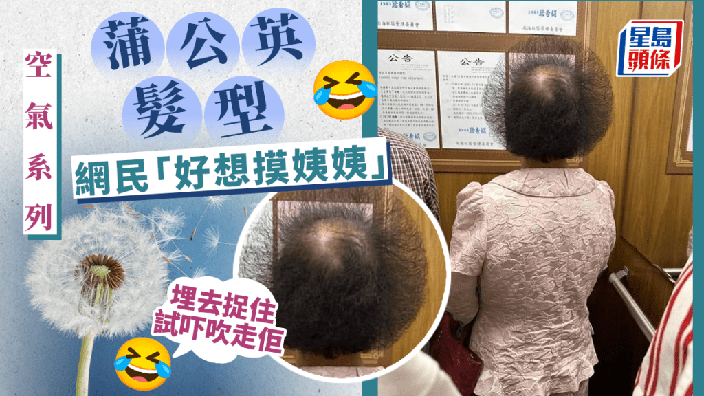 网民轻轻哼起了「当晚与你记住蒲公英」。网图
