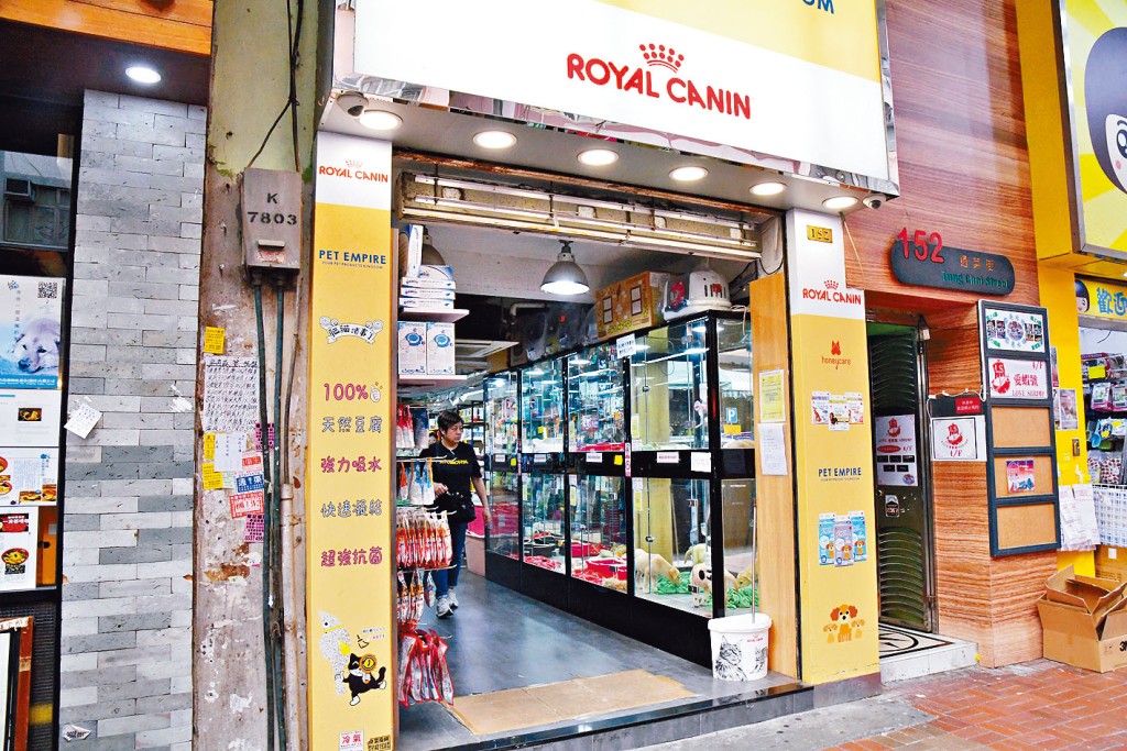 案中被爆窃宠物店。