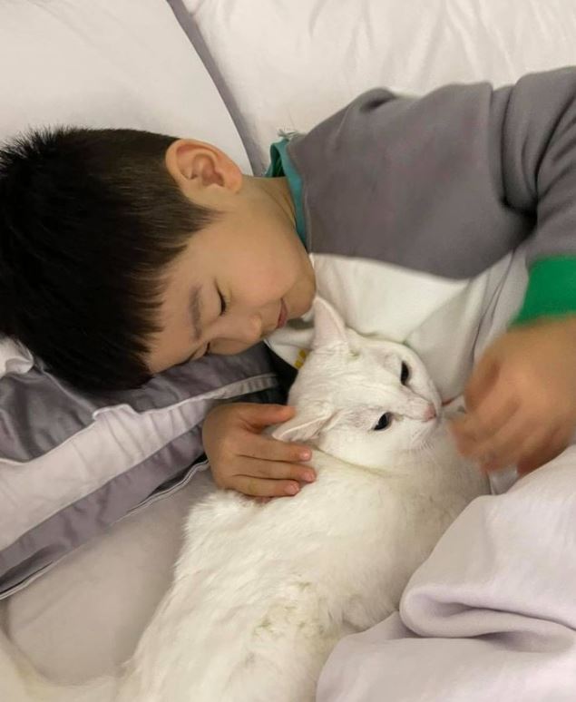 翠翠的囝囝也很疼锡大公主。