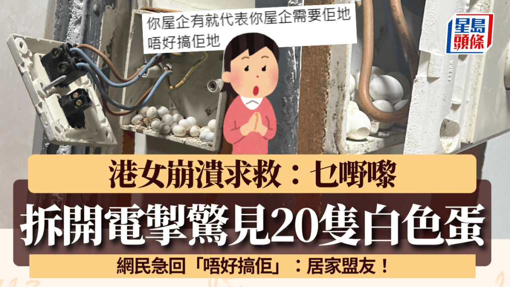 電掣內藏逾20隻來歷不明白色蛋！港女崩潰求救 網民急回「唔好搞佢」：居家盟友！