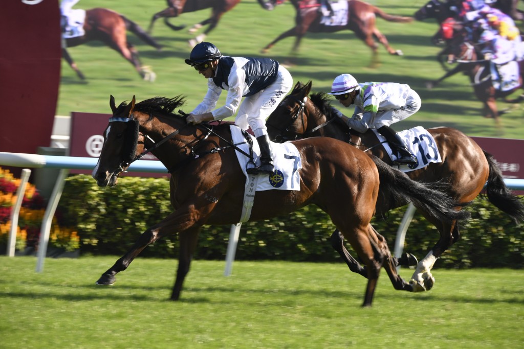鄧思高力讚「白鷺金剛」(圖) 鬥心甚強，上場初上三班，對手大為增強，亦能連捷。 