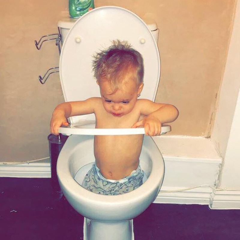 Jaxon 搗蛋罪證:走進馬桶。網上圖片