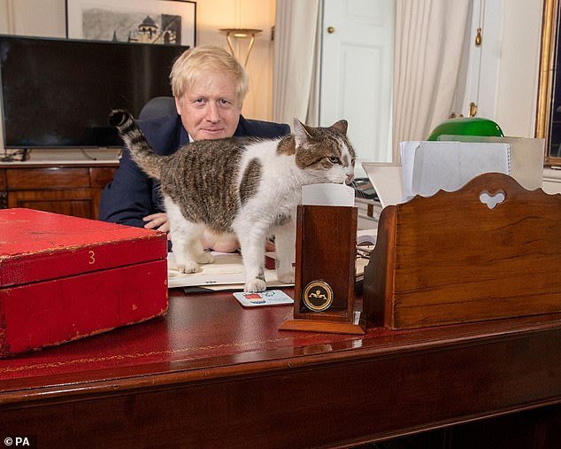 英国首相府唐宁街10号一带一直鼠患严重，多年来都有养猫习俗。（TWITTER图片）