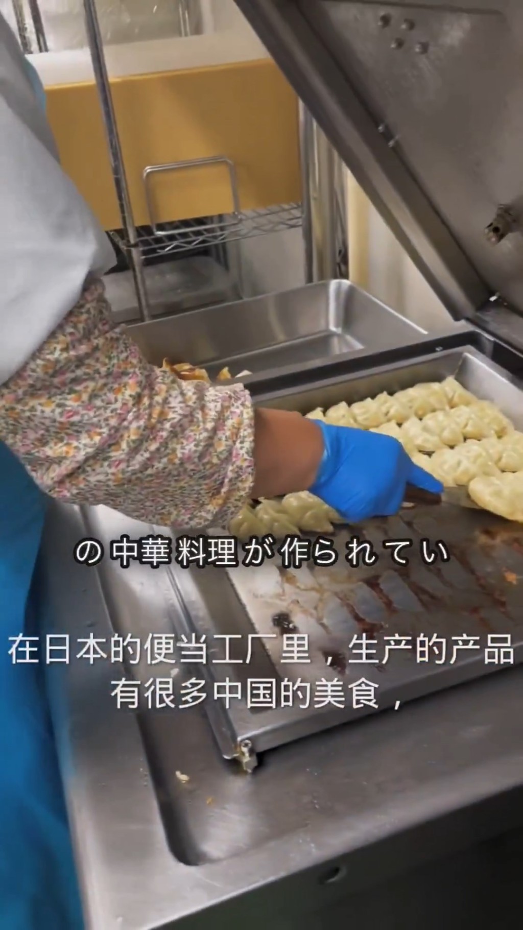 影片介绍制作中国食品的过程。