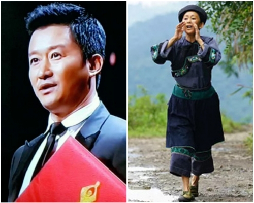 吳京奪得最佳男主角；
最佳女主角：陳瑾奪得最佳女主角。網上圖片