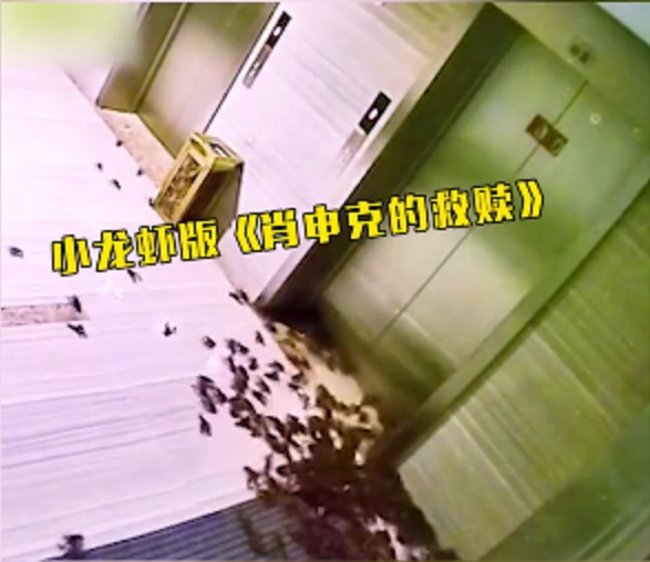 20斤的小龍蝦從盒中逃出爬滿一地。網圖