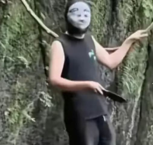 湖北网红树藤遭“正义”蒙面人，以安全为由擅自斩断。