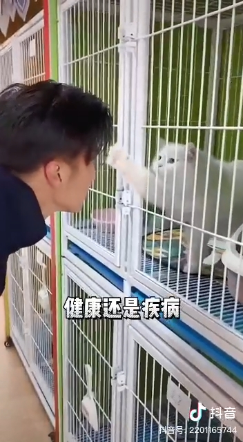 貓貓都抵受不到霆鋒的魅力！