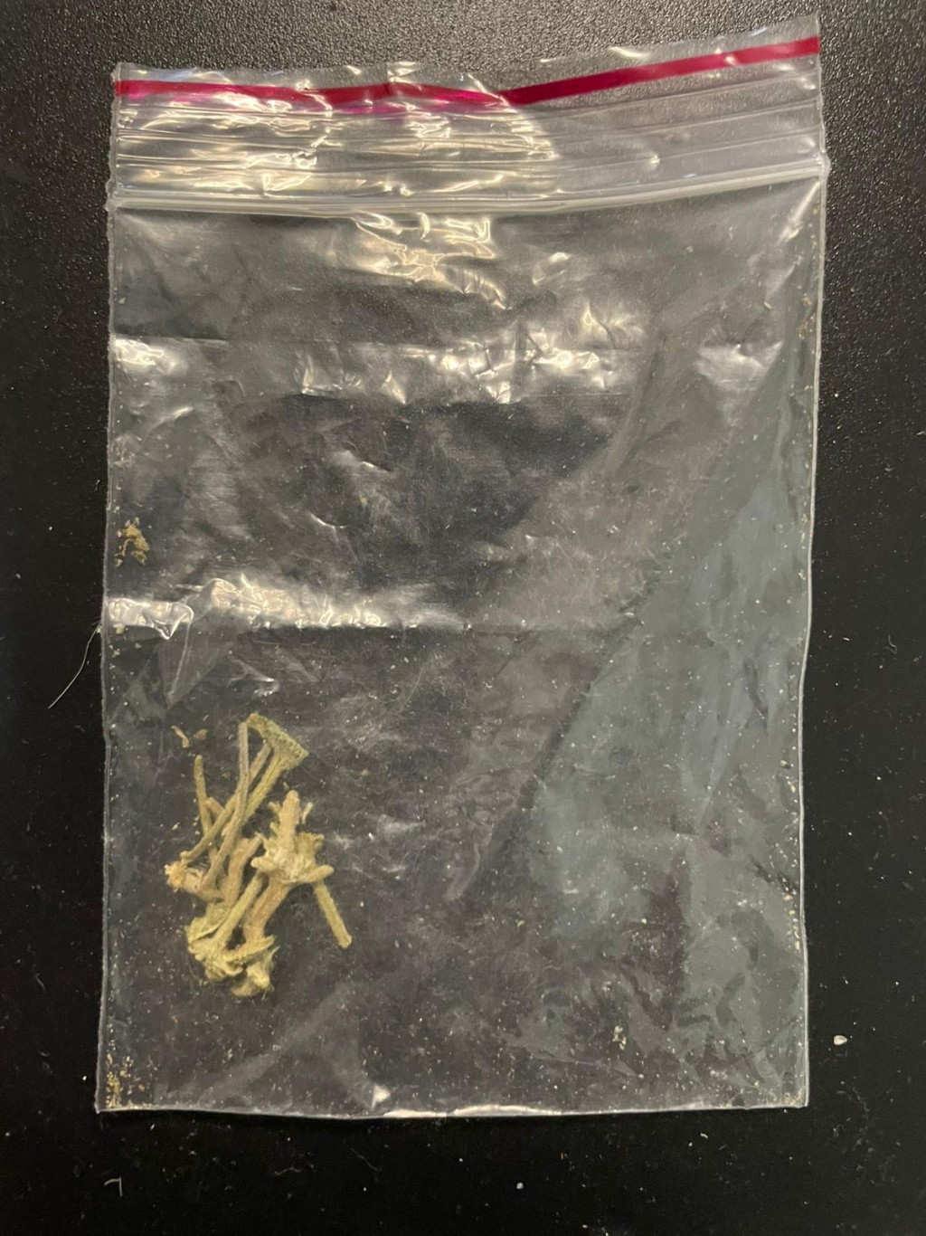 警方圖片