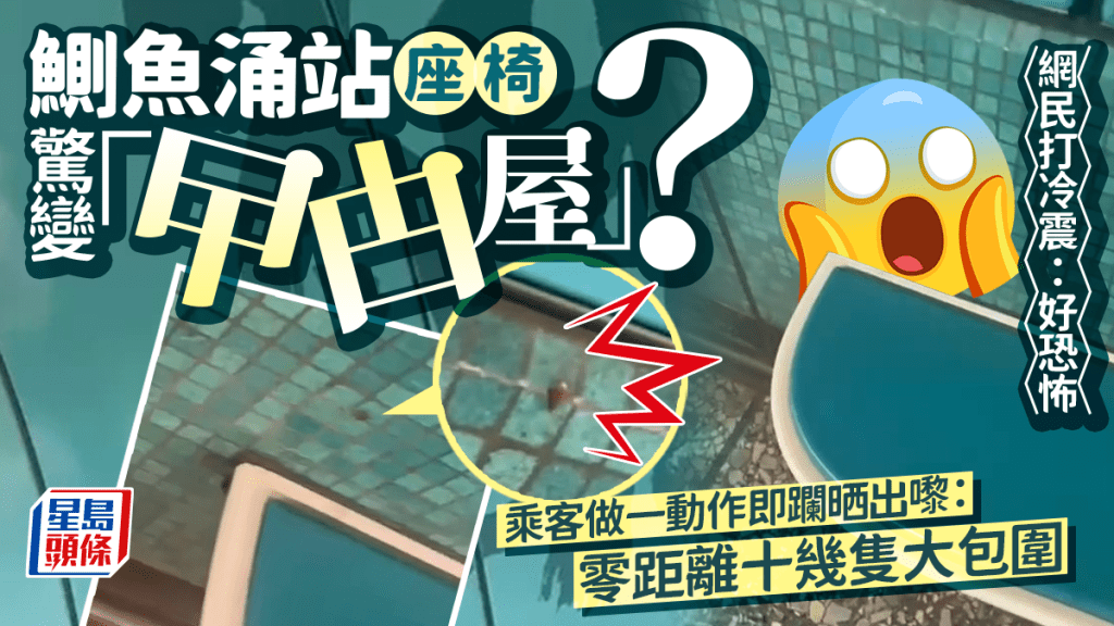 港鐵鰂魚涌站座椅驚變曱甴屋? 乘客做一動作即躝晒出嚟:零距離十幾隻大包圍 港鐵鰂魚涌站座椅驚變曱甴屋? 乘客做一動作即躝晒出嚟:零距離十幾隻大包圍