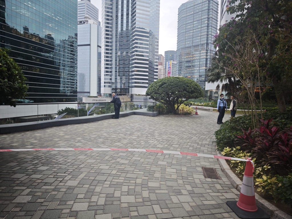 警員在平台調查。