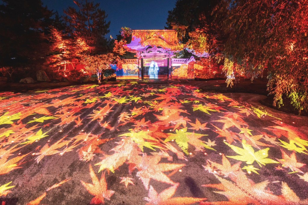 由即日至12月11日，高台寺会在庭园举办「「追忆之光」光雕投影活动。