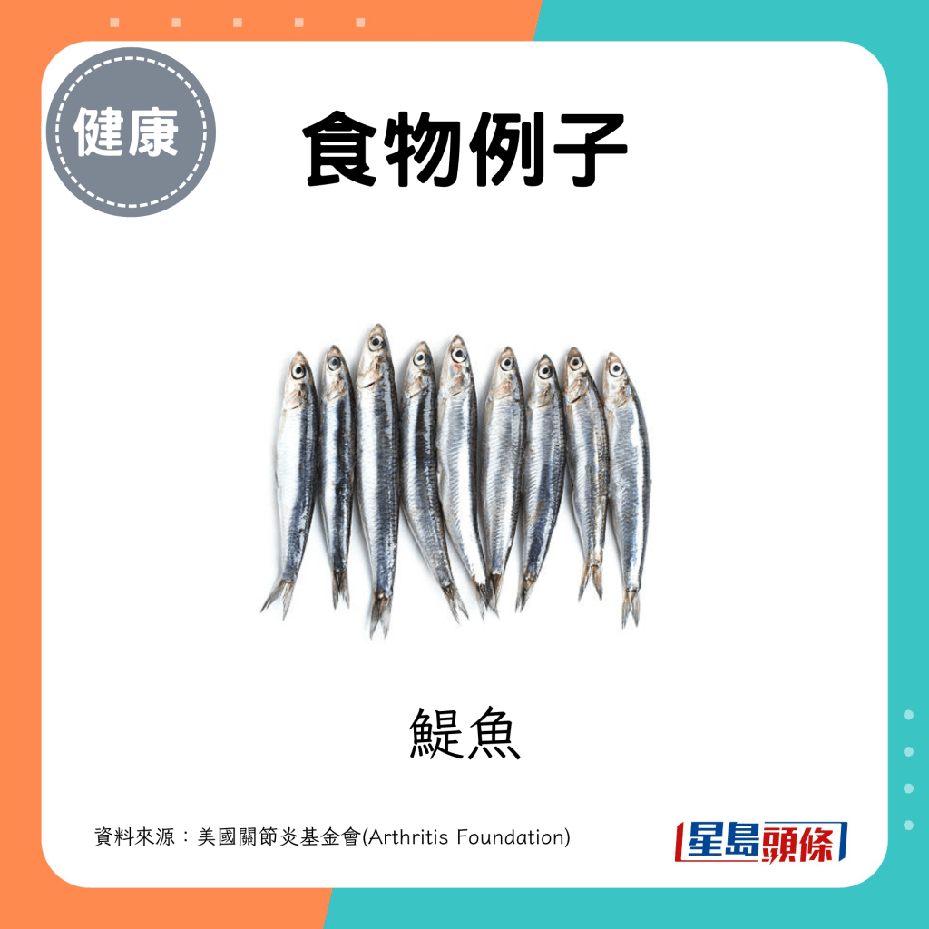 鯷魚