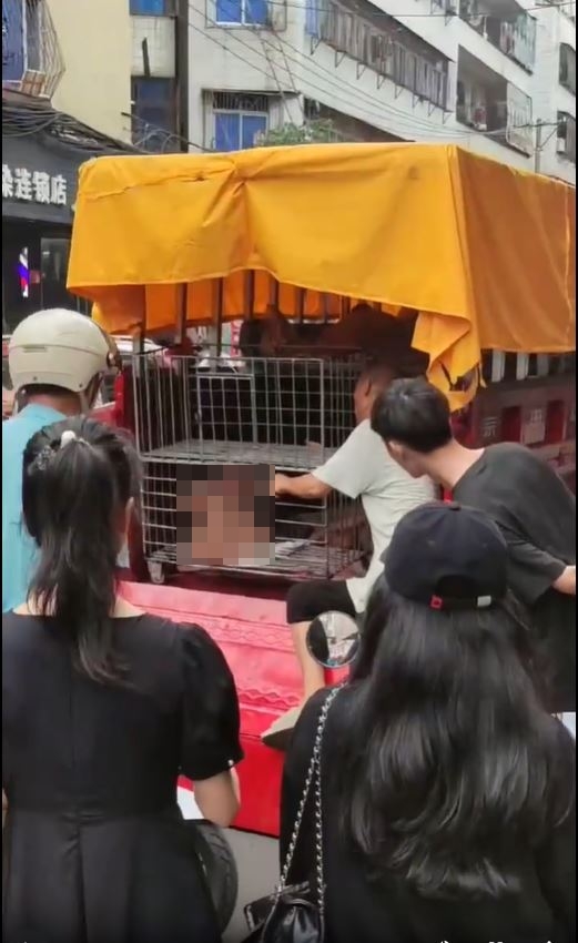 海南街頭驚現有小童被「關鐵籠」。 海南街頭驚現有小童被「關鐵籠」。