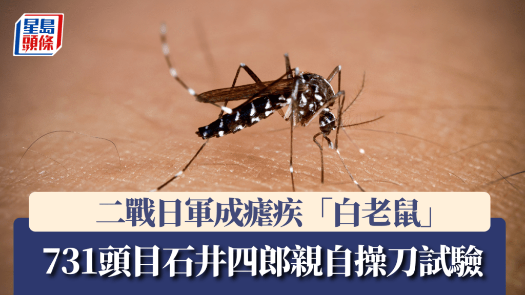 日本學者揭露，精神病日兵成瘧疾「白老鼠」。iStock