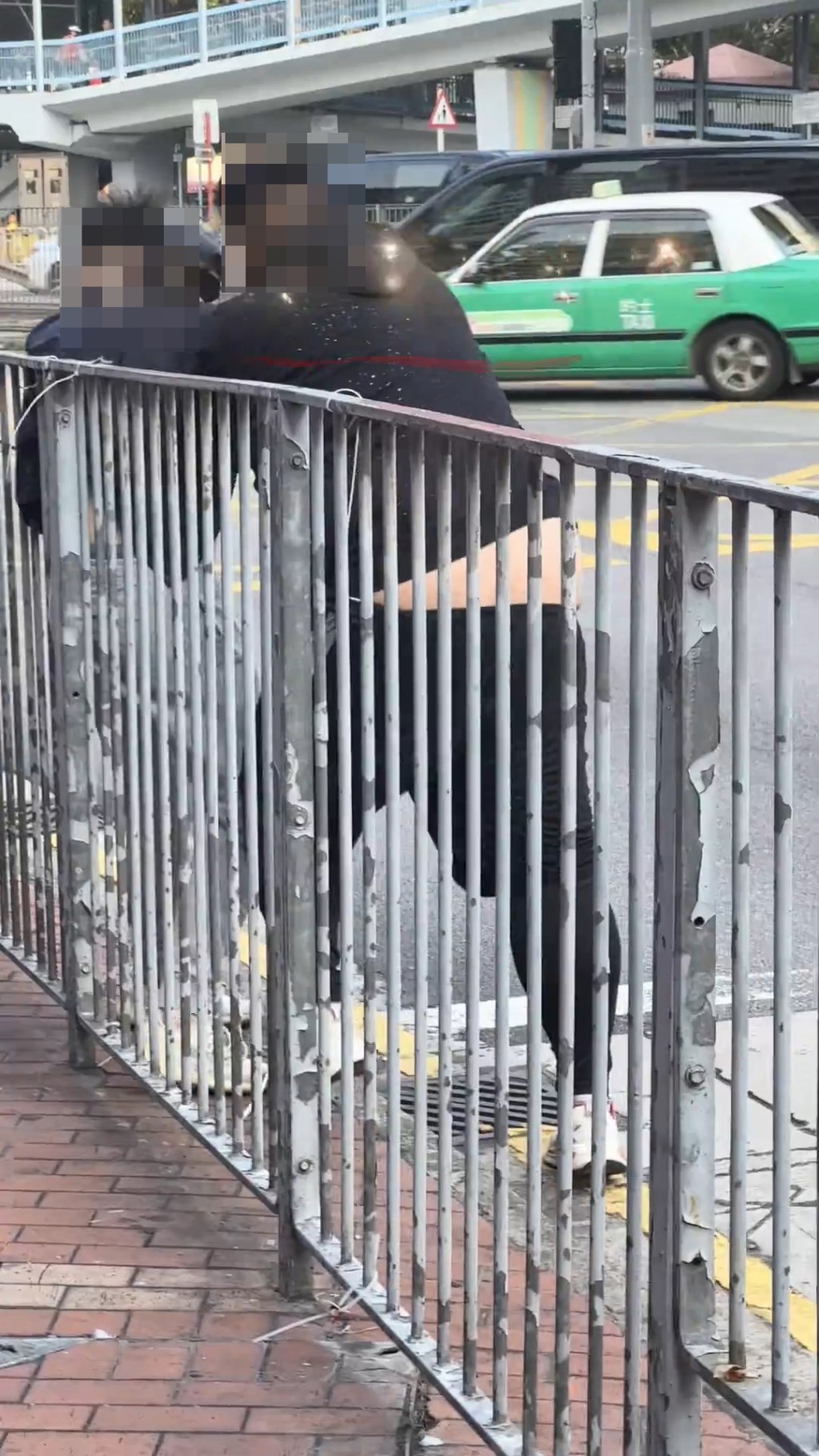 黑衣男子被肥男捉住狂打。網上片段截圖